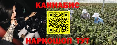 шишки Моздок