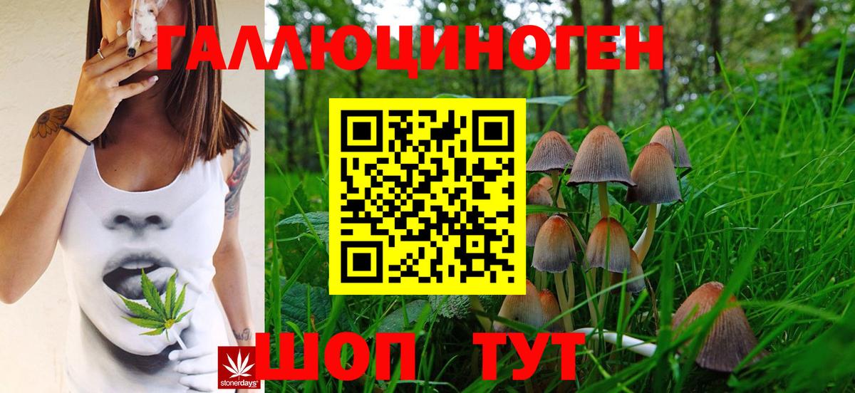 Псилоцибиновые грибы Cubensis Арзамас